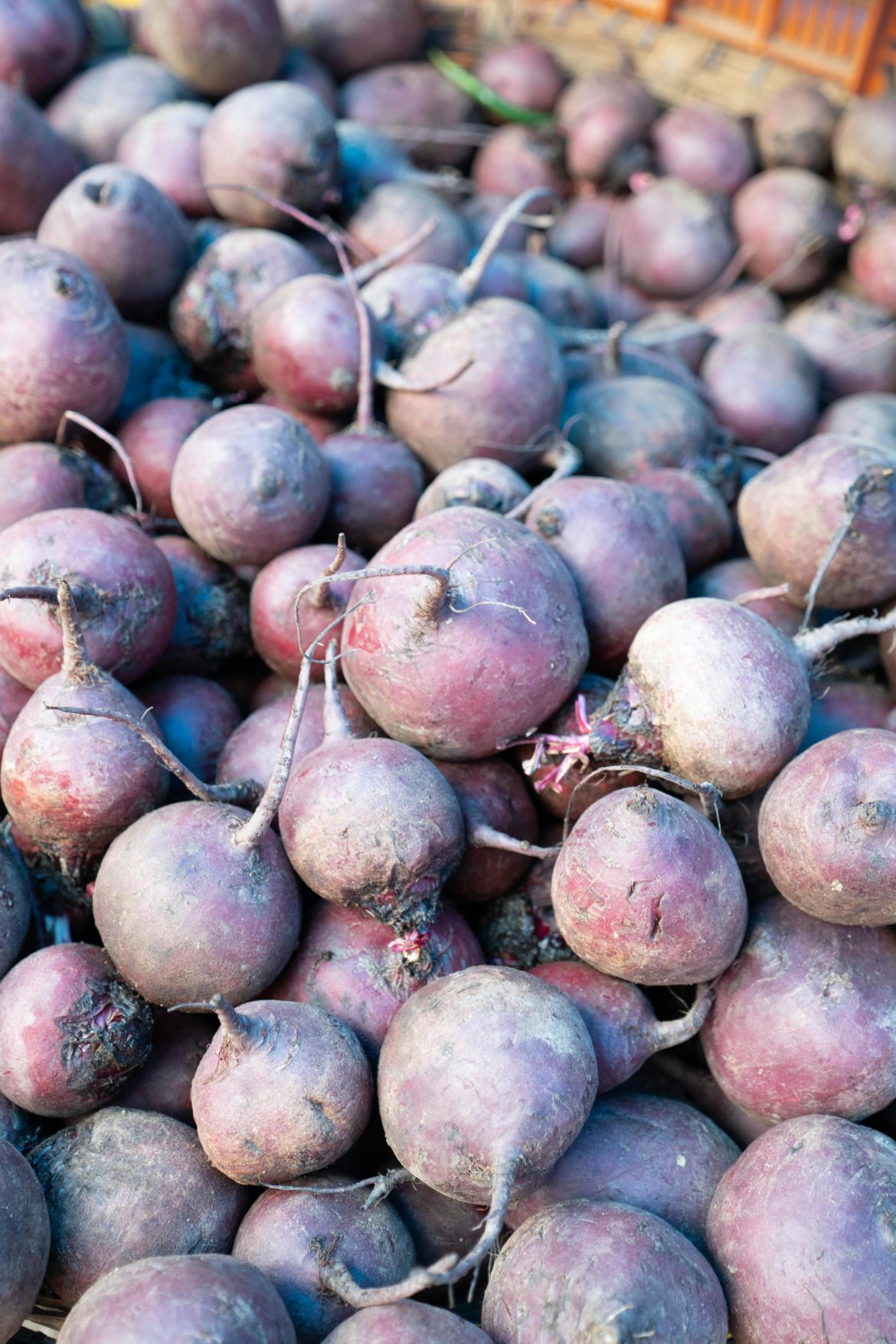 budget veggie series: beetroots