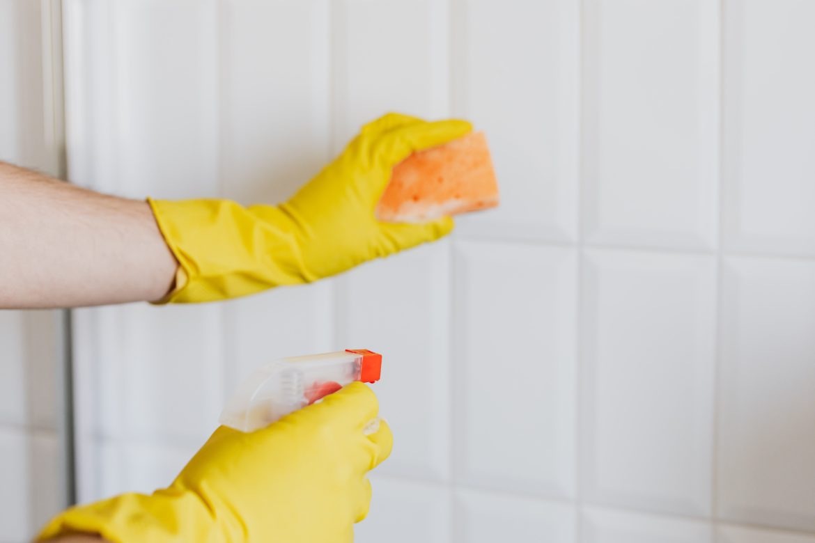 mould vs mildew