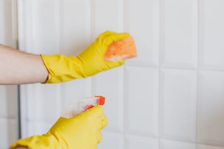 mould vs mildew