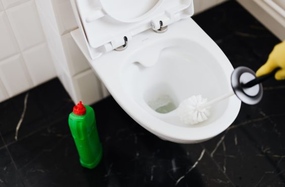 how to clean your toilet brush