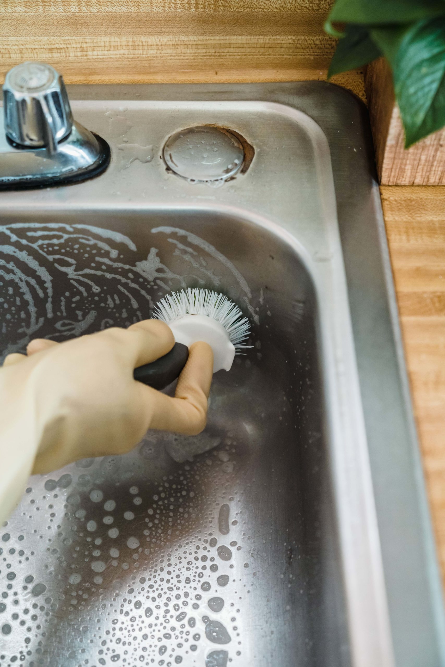 how to clean mould and mildew from your sink