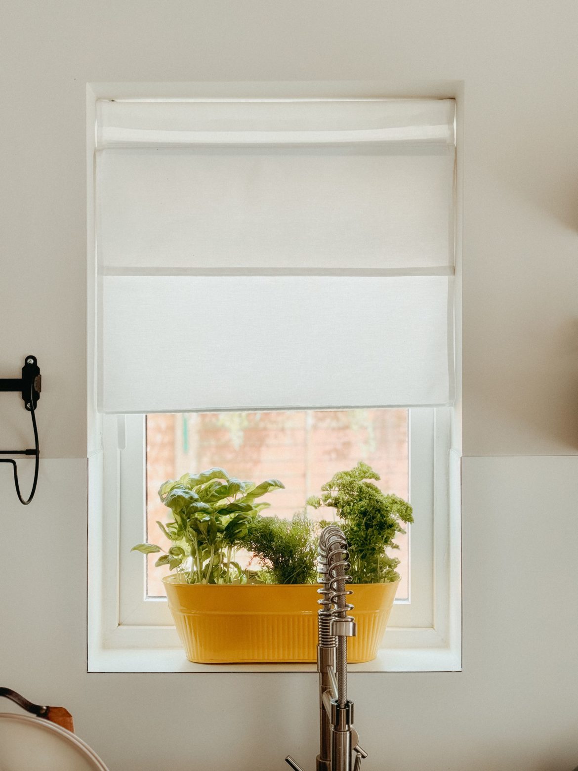 how to create a kitchen countertop herb garden