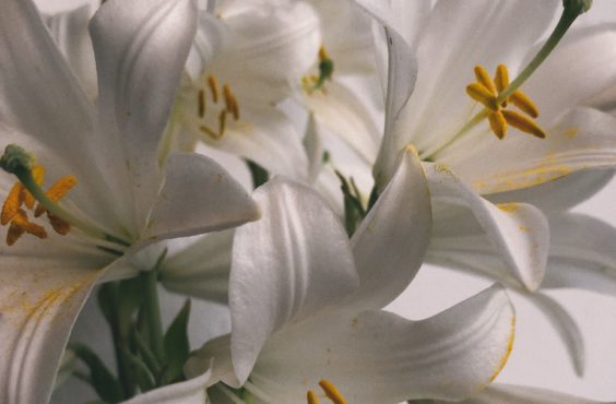 how to remove pollen stains from clothes